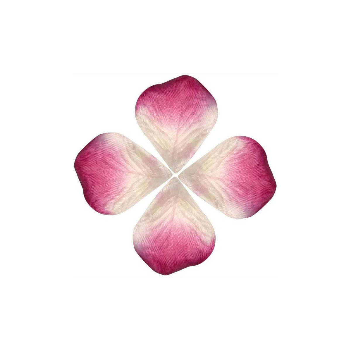 Petali per decorare