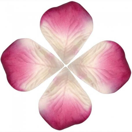 Petali per decorare