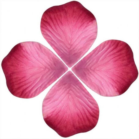 Sacchetti di petali di rosa
