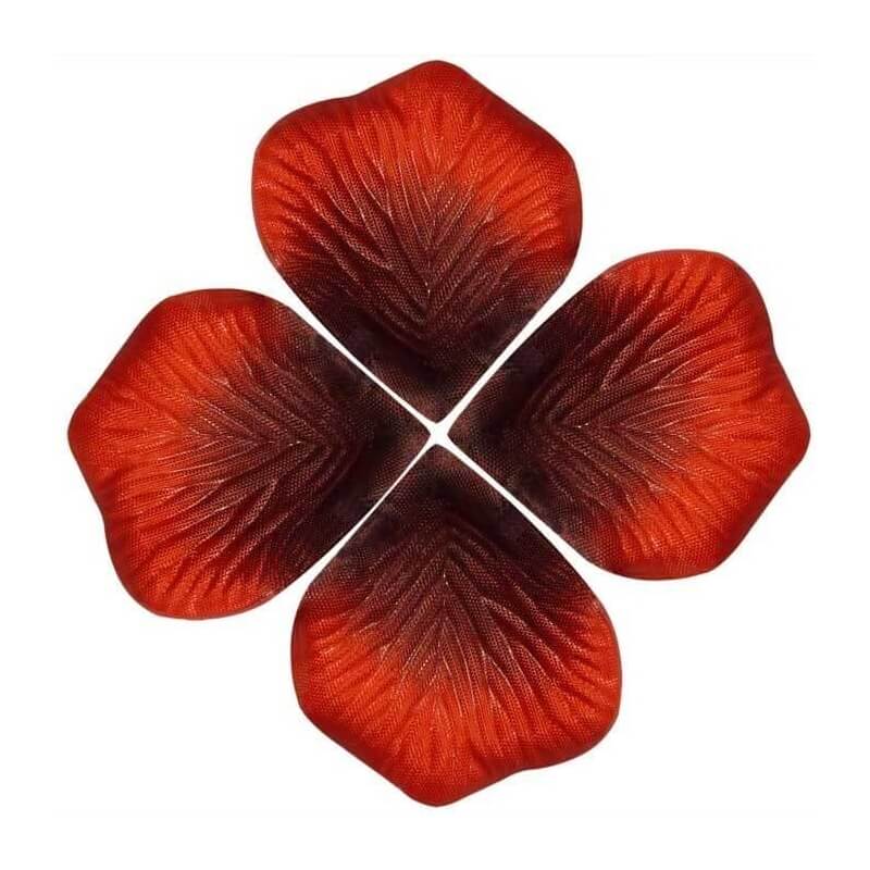 Petali di rosa bordeaux essiccati commestibili 8g