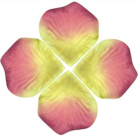 Borse di petali