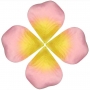 Petali di rosa artificiali economici