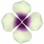Petali di rosa artificiali bianchi e viola per la decorazione di eventi
