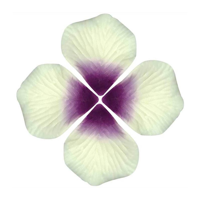 Petali di rosa artificiali bianchi e viola per la decorazione di eventi