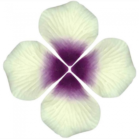 Petali Artificiali Per Matrimoni