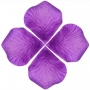 Petali di rosa decorazione