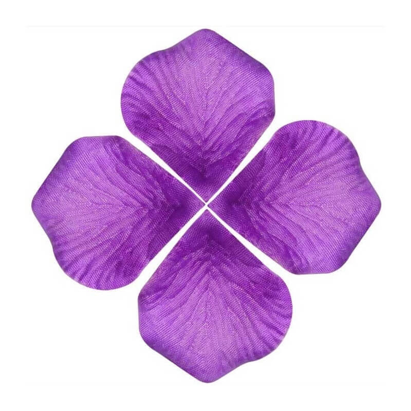 Petali di rosa decorazione