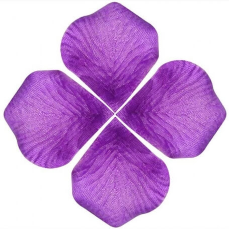 Petali di rosa decorazione