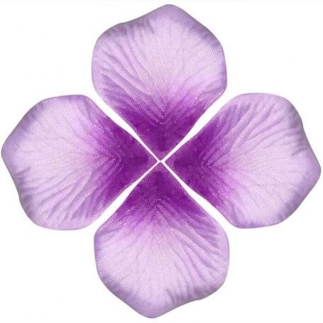 Borse Per Petali Di Nozze