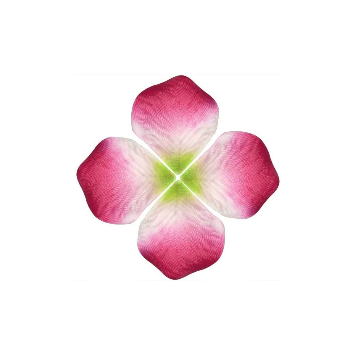 Petali di colore vivido