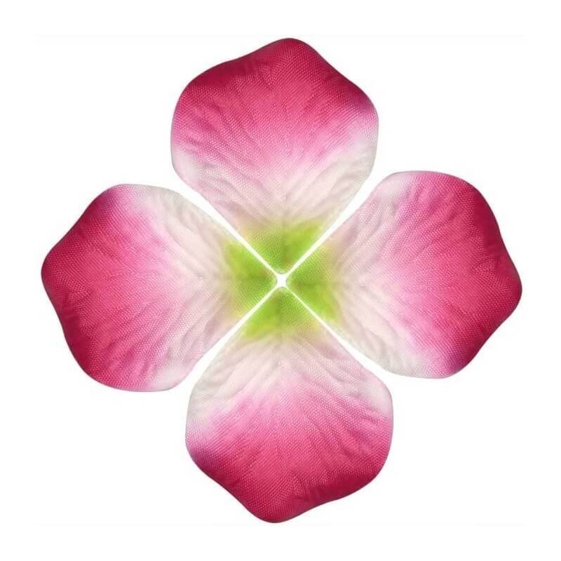 Petali di colore vivido