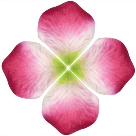 Petali Di Colore Vivido