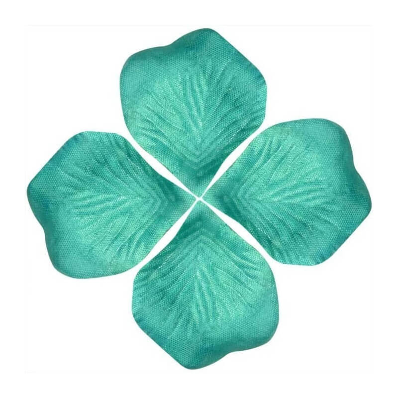 Petali di colori vivaci