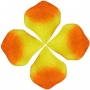 Petali colorati