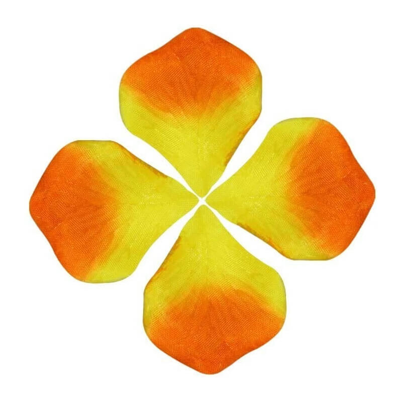 Petali colorati