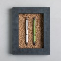 Penna prodox