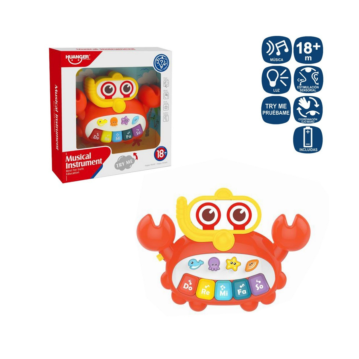 Organo di granchio per bambini 18 x 3 60 x 13 cm