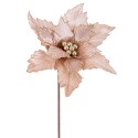 Poinsettia tessuto champagne 50 x 30 cm