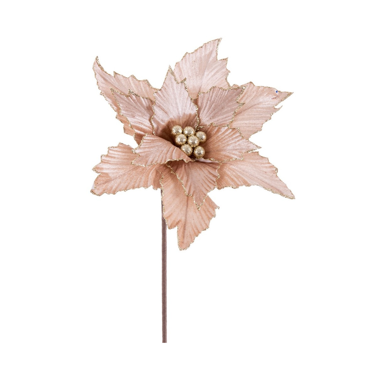 Poinsettia tessuto champagne 50 x 30 cm