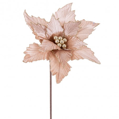 Poinsettia tessuto champagne 50 x 30 cm