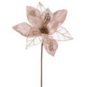 Poinsettia tessuto champagne 50 x 30 cm