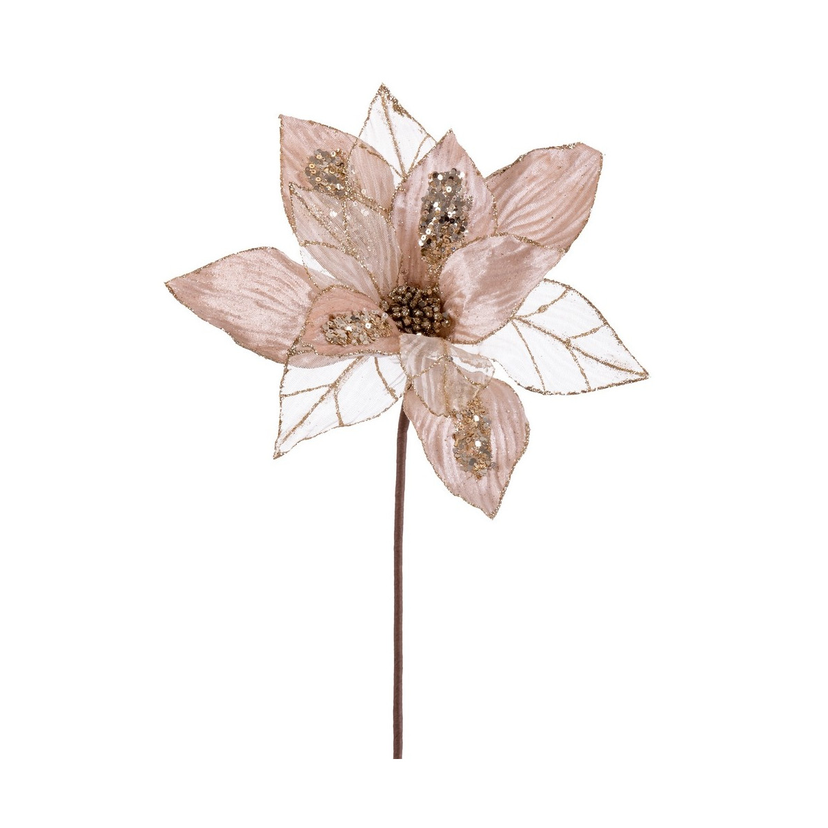 Poinsettia tessuto champagne 50 x 30 cm