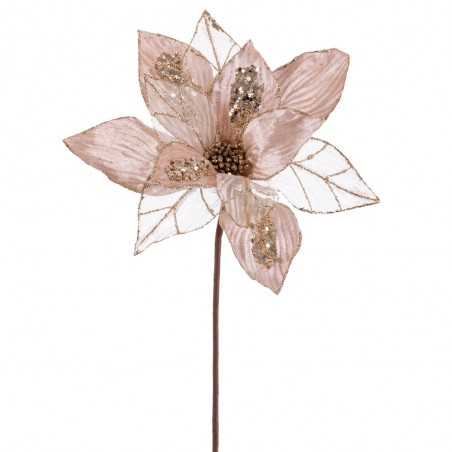 Poinsettia tessuto champagne 50 x 30 cm