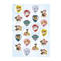 Pack di 20 mini dischi della Paw Patrol