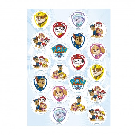 Pack di 20 mini dischi della Paw Patrol