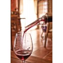 Decantatore di vino per bottiglia regolabile
