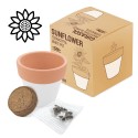 Vaso di terracotta piccoli con semi