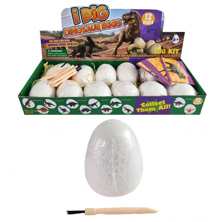 Kit di scavo dinosauro nell'uovo