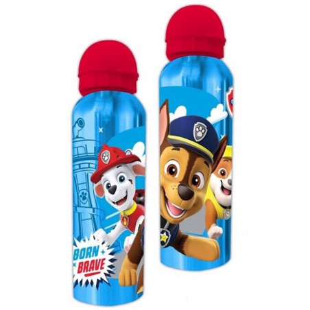 Borraccia in metallo per bambini paw patrol
