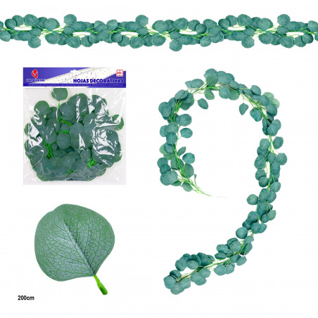 Foglia decorativa canna di eucalipto