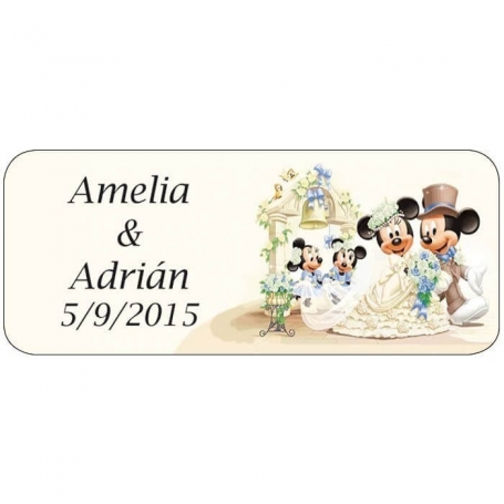 Adesivi mickey