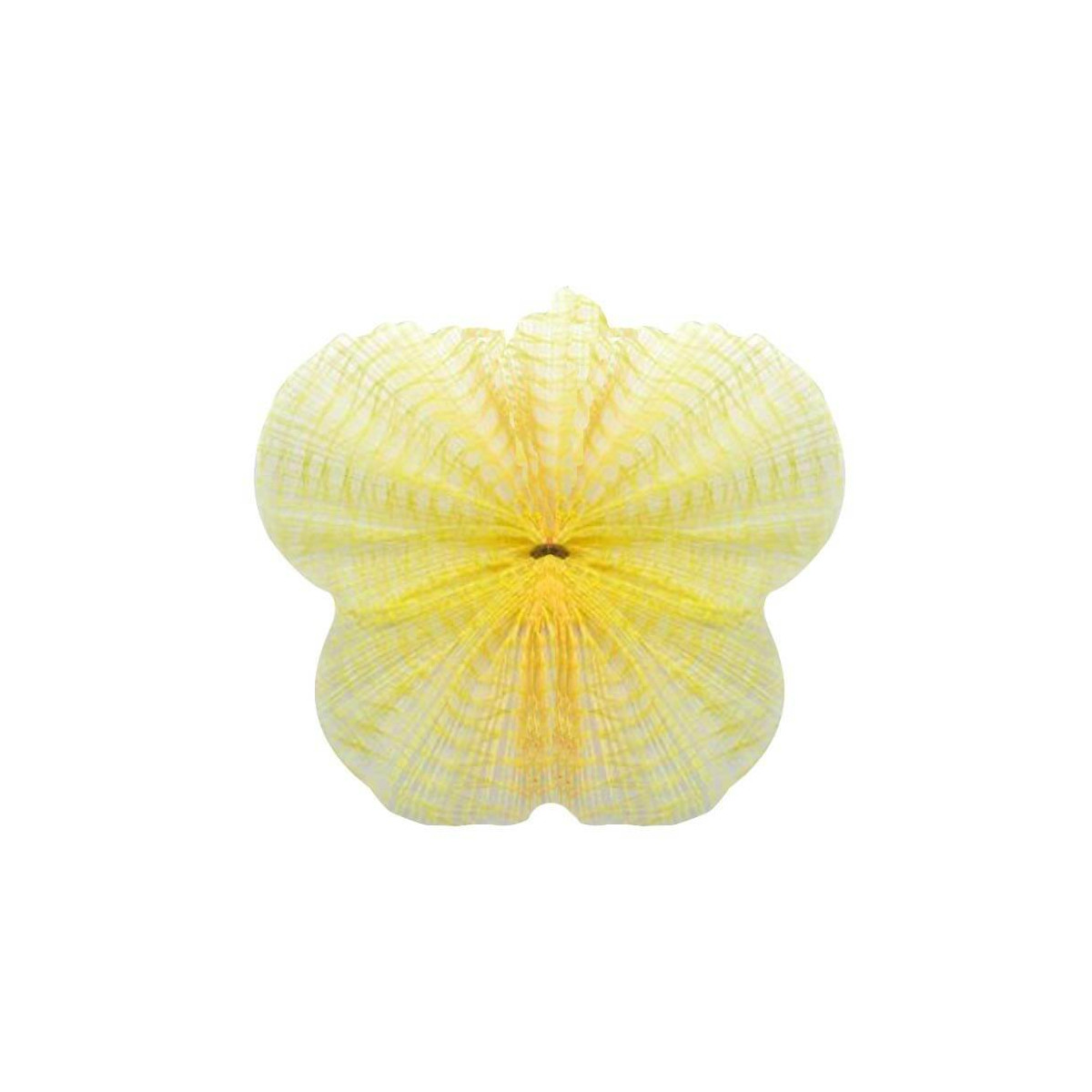 Tulle netto giallo