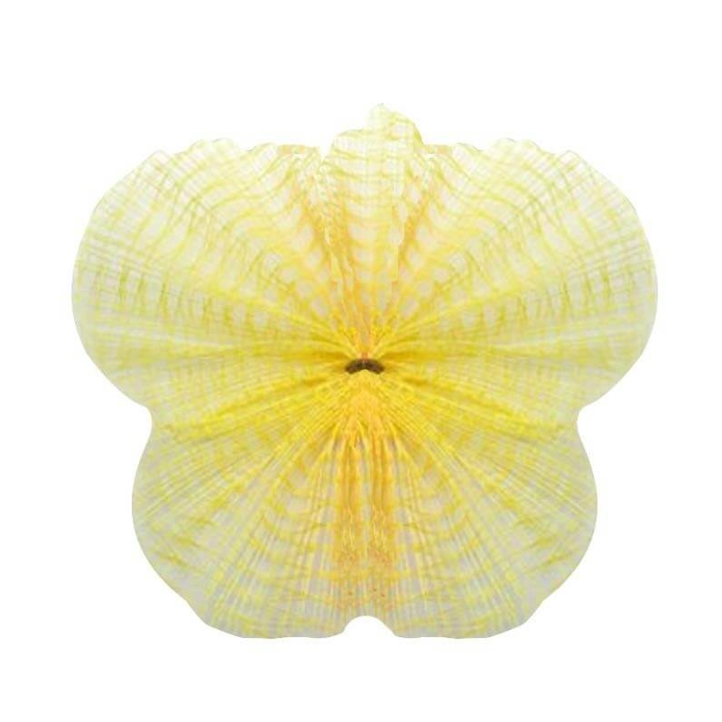Tulle netto giallo