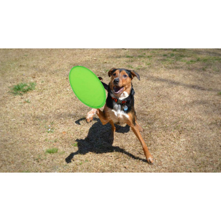 Frisbee di stoffa