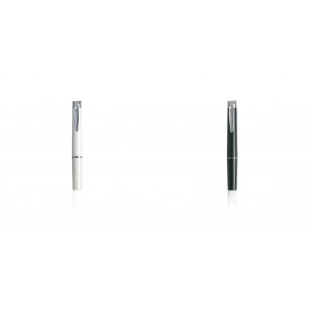 Torcia con luce led