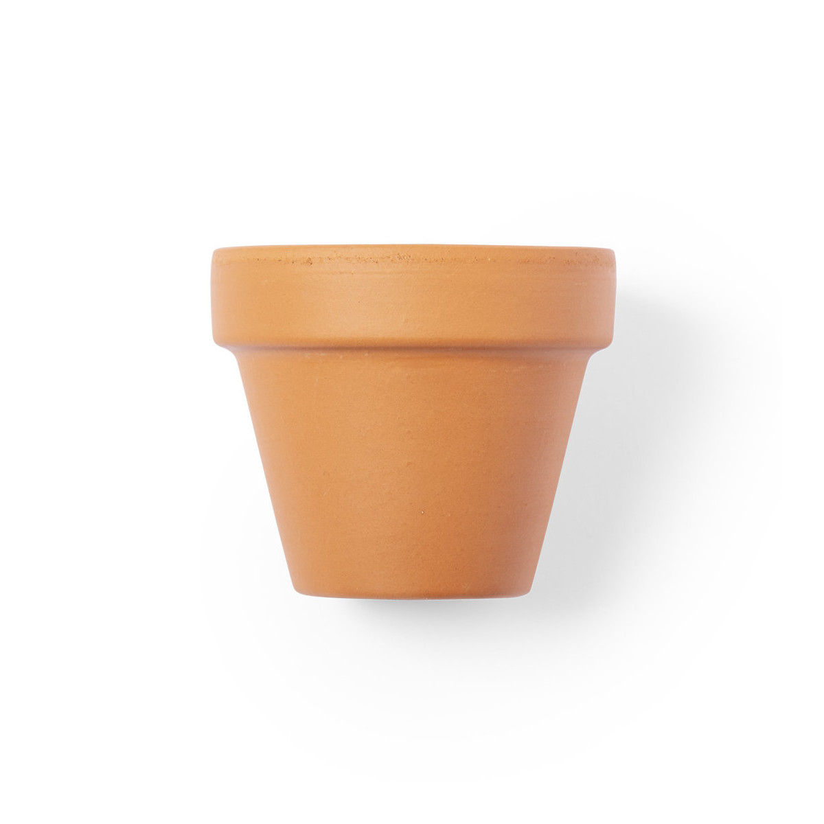 Vaso per piantare petunie