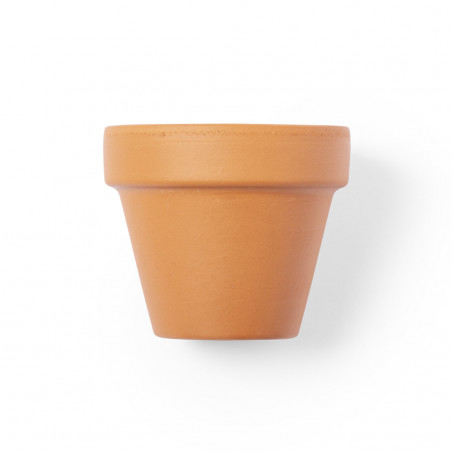 Vaso per piantare petunie