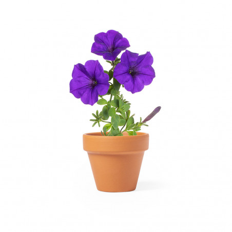 Vaso per piantare petunie