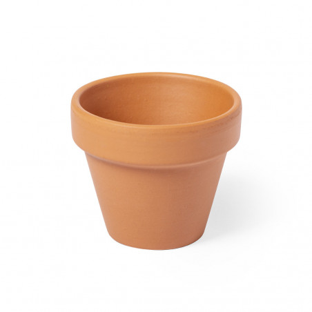 Vaso per piantare petunie
