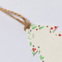 Decorazioni natalizie con semi di petunia