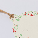 Decorazioni natalizie con semi di petunia