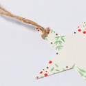Decorazioni natalizie con semi di petunia