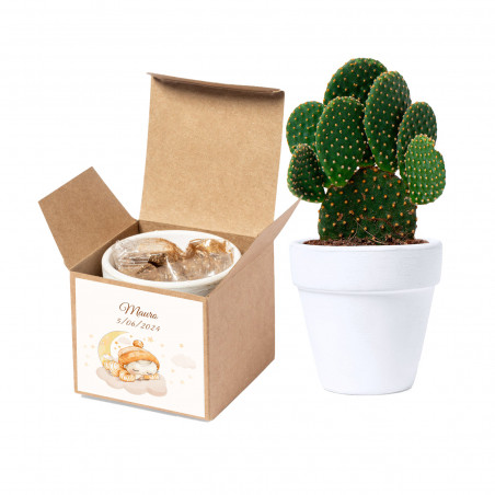 Vaso con semi di cactus in scatola personalizzata per battesimi