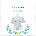 Tre in fila in scatola di legno con adesivo 5x5 cm design elefante per dettagli battesimo