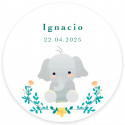 Hucha di elefante con adesivo personalizzabile per dettagli battesimo