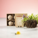 Capsula di semi con adesivo spaziale personalizzabile per i dettagli del matrimonio